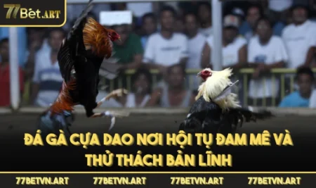 Đá Gà Cựa Dao Giải Mã Sức Hút Của Đấu Trường Nảy Lửa