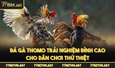 Đá Gà Thomo Trải Nghiệm Đỉnh Cao Cho Dân Chơi Thứ Thiệt